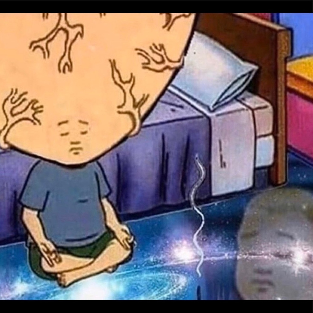 Meet your Posher, Ana